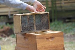 Package Installation