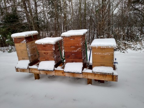 IMG_20160122_104049711_HDR (1)